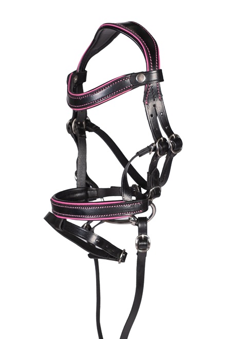 BRIGLIA IN PELLE HOBBY HORSING Manchester Hobby Horsing 